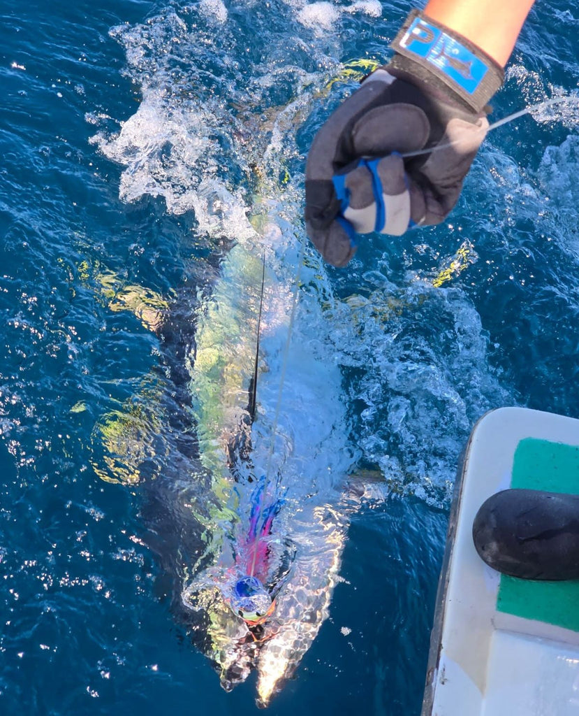 Eight Days of Grit, Glory & Game Fishing