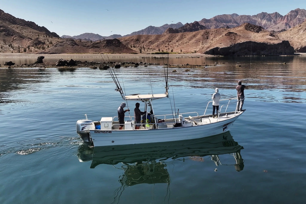 Off The Grid: Fishing Baja's Bay of LA